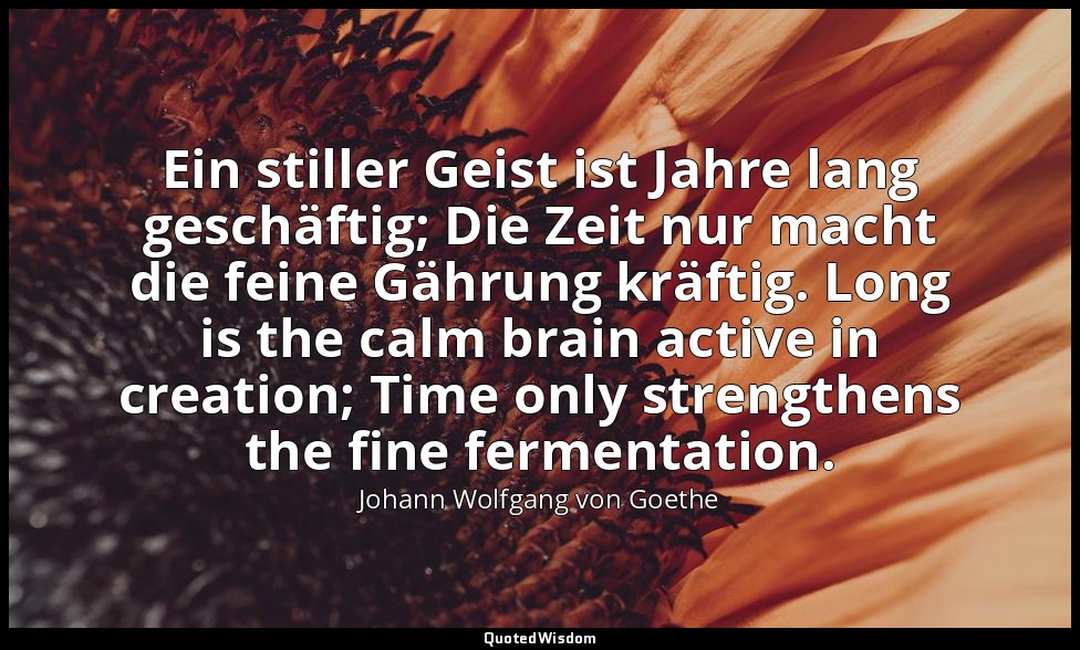 Ein stiller Geist ist Jahre lang geschäftig; Die Zeit nur macht die feine Gährun — Johann Wolfgang von Goethe