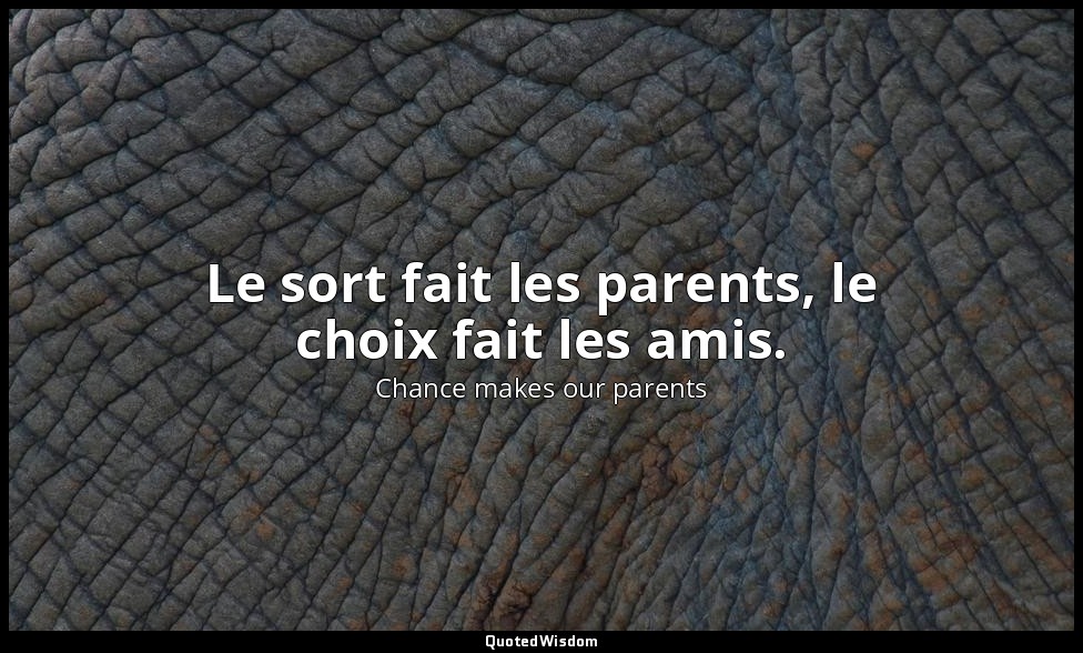 Le sort fait les parents, le choix fait les amis. — Chance makes our parents
