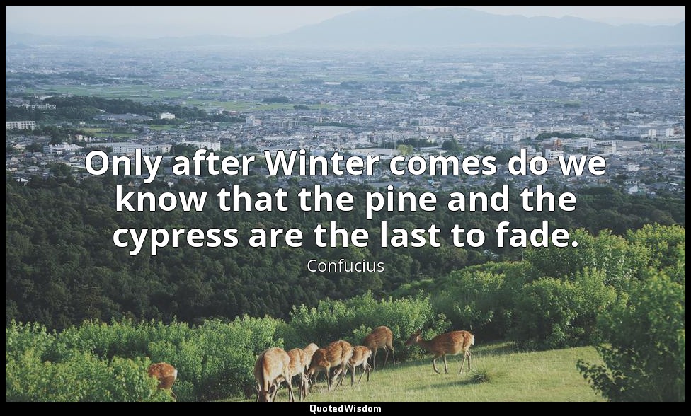 Only after Winter comes do we know that the pine and the cypress are the last to — Confucius