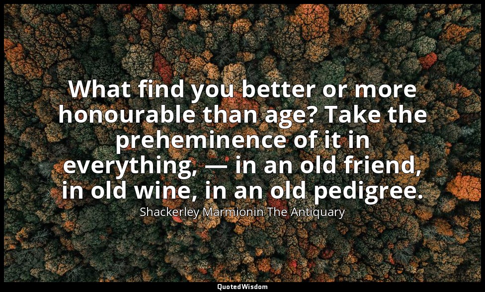 What find you better or more honourable than age? Take the preheminence of it in — Shackerley Marmionin The Antiquary