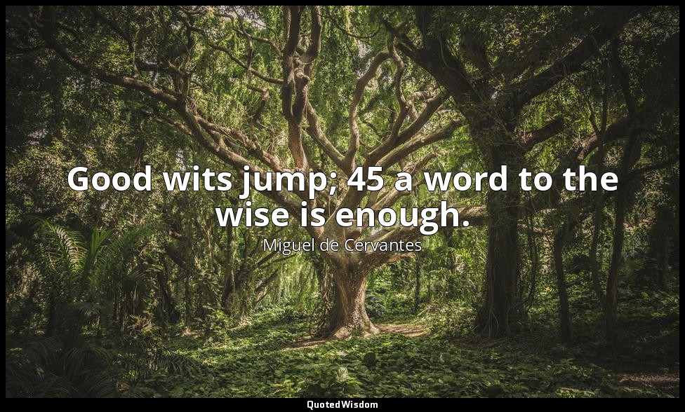 Good wits jump; 45 a word to the wise is enough. — Miguel de Cervantes