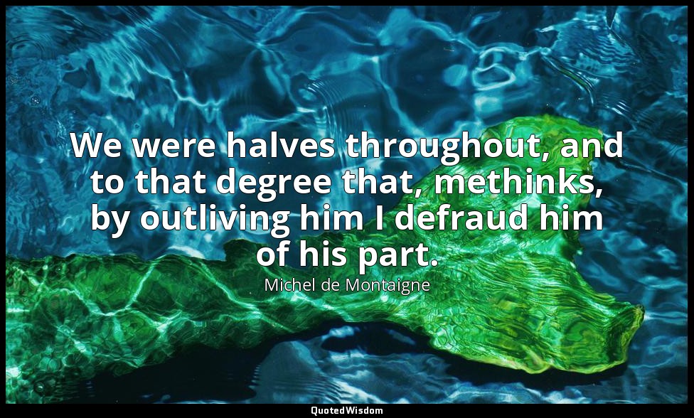 We were halves throughout, and to that degree that, methinks, by outliving him I — Michel de Montaigne