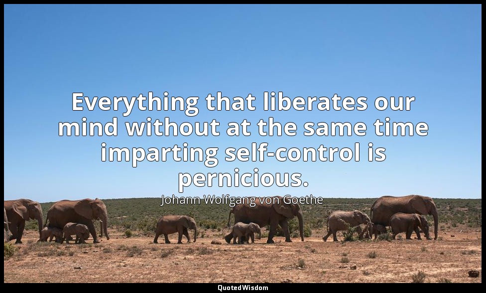 Everything that liberates our mind without at the same time imparting self-contr — Johann Wolfgang von Goethe