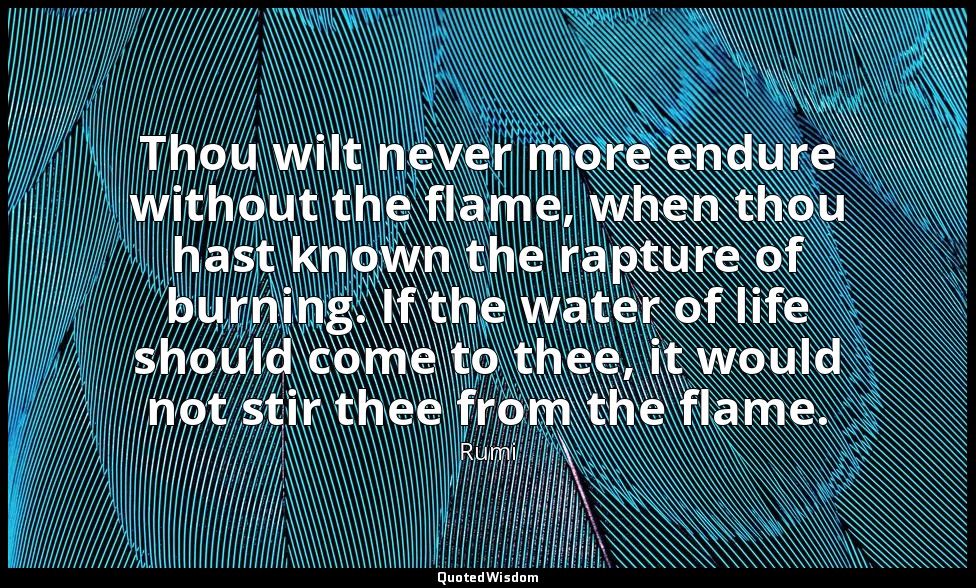 Thou wilt never more endure without the flame, when thou hast known the rapture  — Rumi