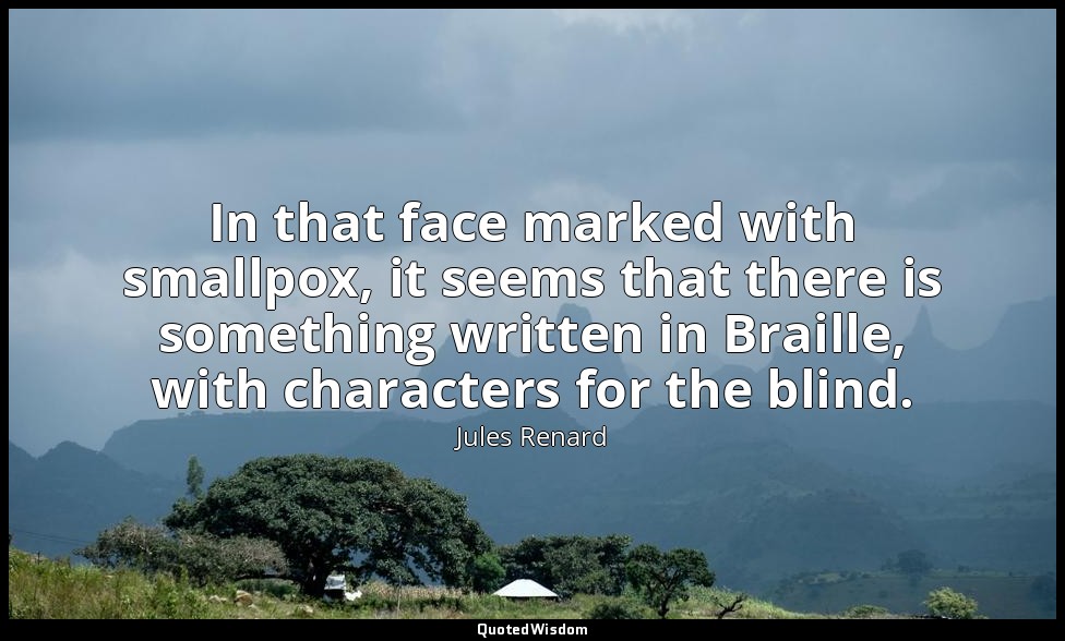 In that face marked with smallpox, it seems that there is something written in B — Jules Renard