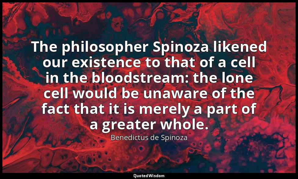The philosopher Spinoza likened our existence to that of a cell in the bloodstre — Benedictus de Spinoza