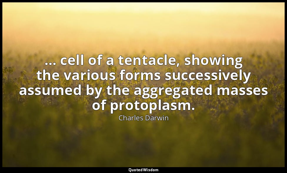 … cell of a tentacle, showing the various forms successively assumed by the aggr — Charles Darwin