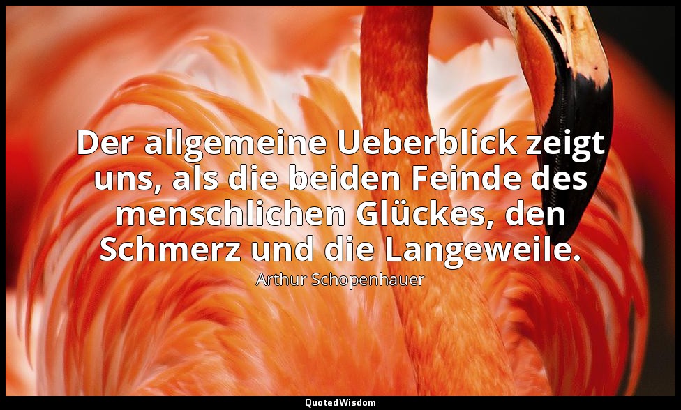 Der allgemeine Ueberblick zeigt uns, als die beiden Feinde des menschlichen Glüc — Arthur Schopenhauer