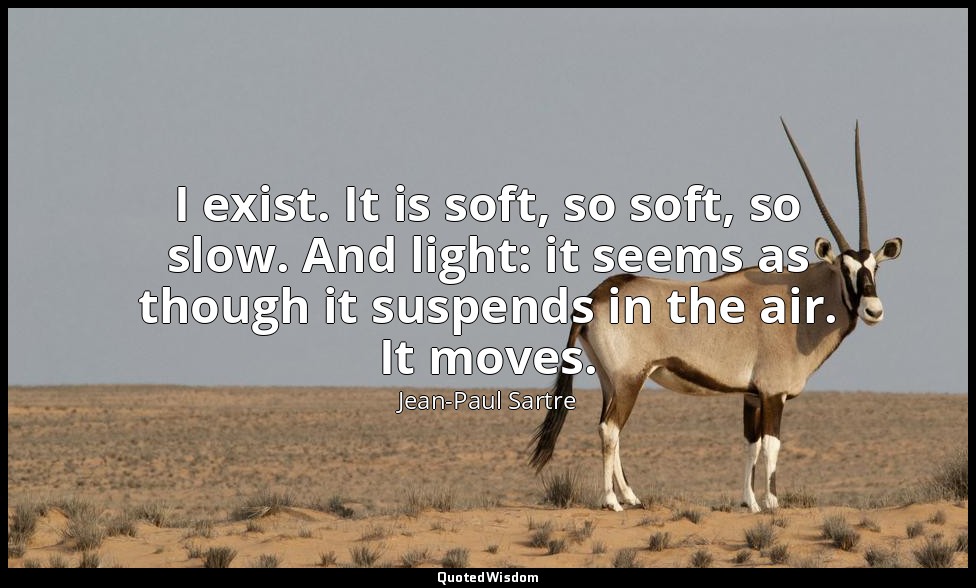 I exist. It is soft, so soft, so slow. And light: it seems as though it suspends — Jean-Paul Sartre