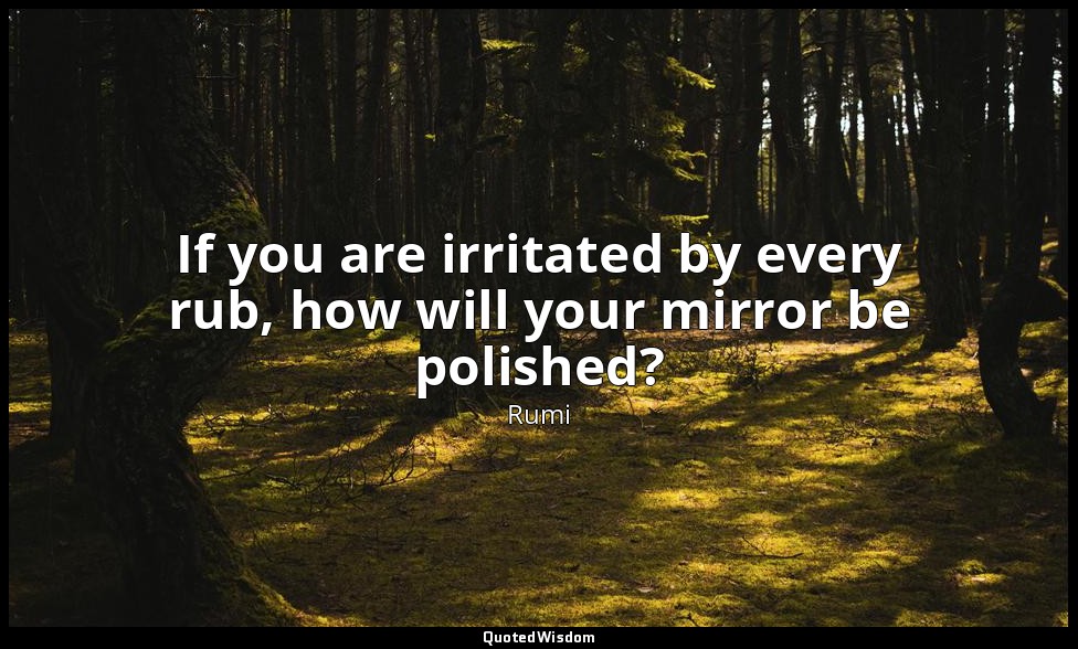 If you are irritated by every rub, how will your mirror be polished? — Rumi