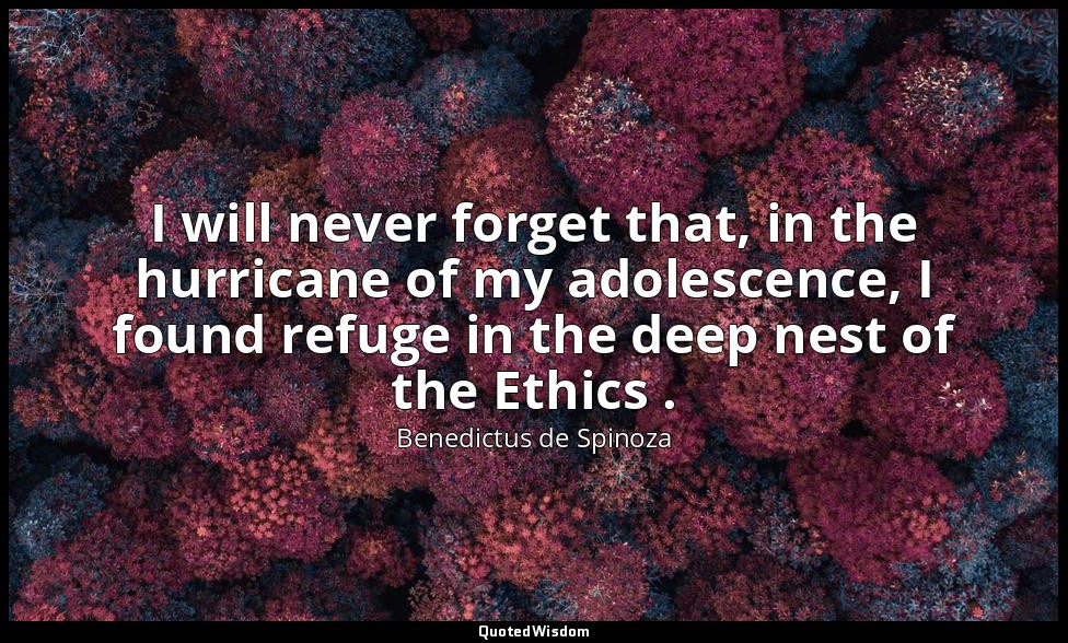 I will never forget that, in the hurricane of my adolescence, I found refuge in  — Benedictus de Spinoza