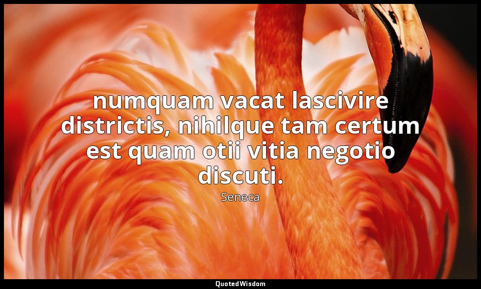 numquam vacat lascivire districtis, nihilque tam certum est quam otii vitia nego — Seneca