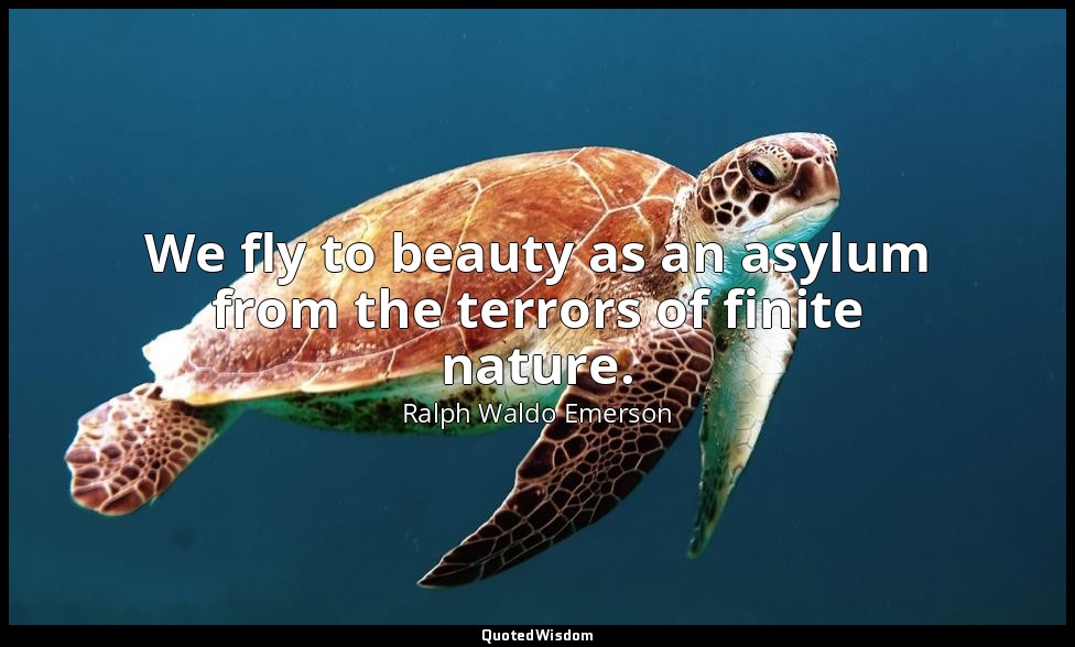 We fly to beauty as an asylum from the terrors of finite nature. — Ralph Waldo Emerson