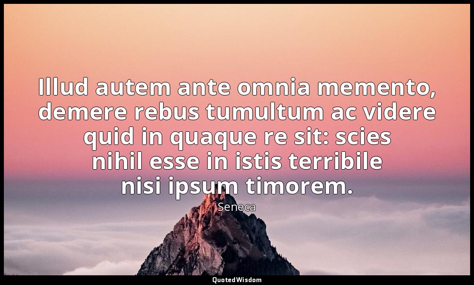 Illud autem ante omnia memento, demere rebus tumultum ac videre quid in quaque r — Seneca