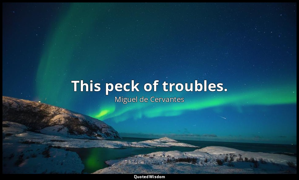This peck of troubles. — Miguel de Cervantes