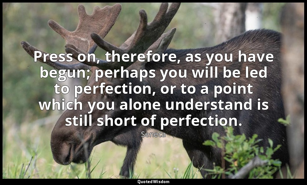 Press on, therefore, as you have begun; perhaps you will be led to perfection, o — Seneca