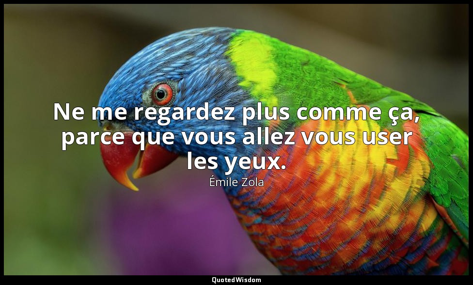 Ne me regardez plus comme ça, parce que vous allez vous user les yeux. — Émile Zola