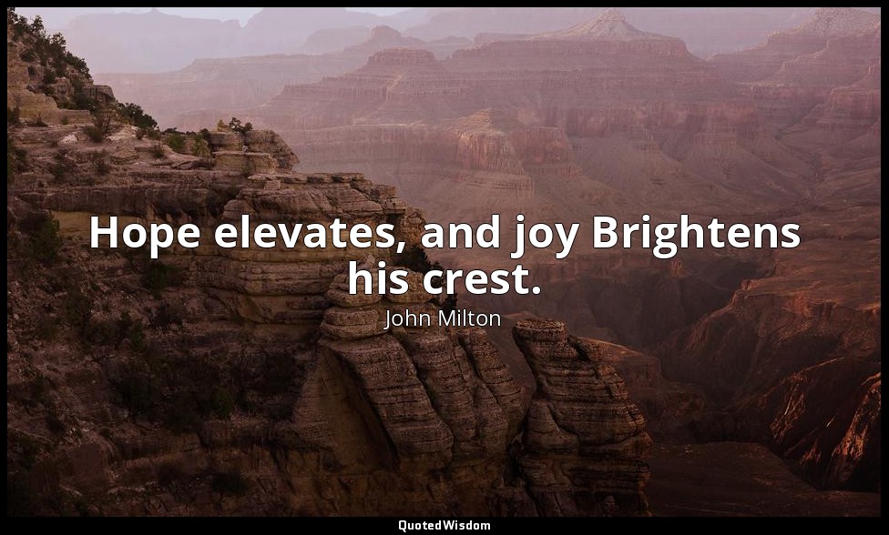 Hope elevates, and joy Brightens his crest. — John Milton
