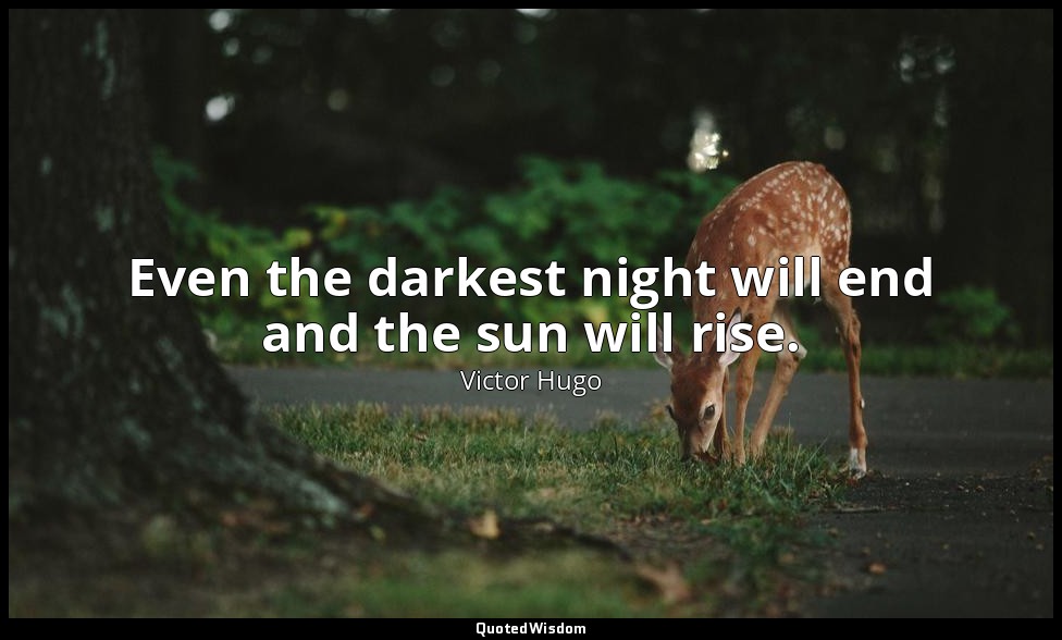 Even the darkest night will end and the sun will rise. — Victor Hugo