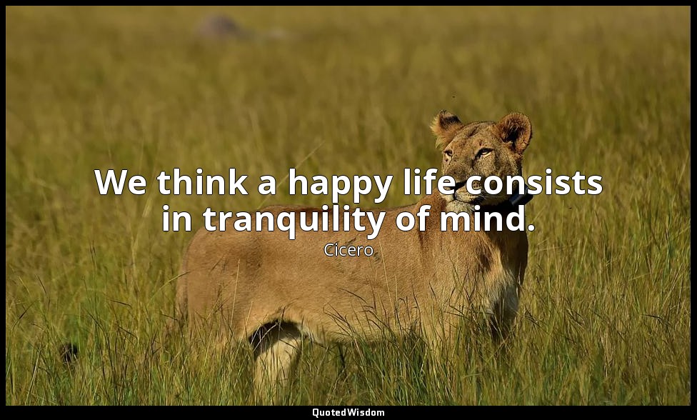We think a happy life consists in tranquility of mind. — Cicero