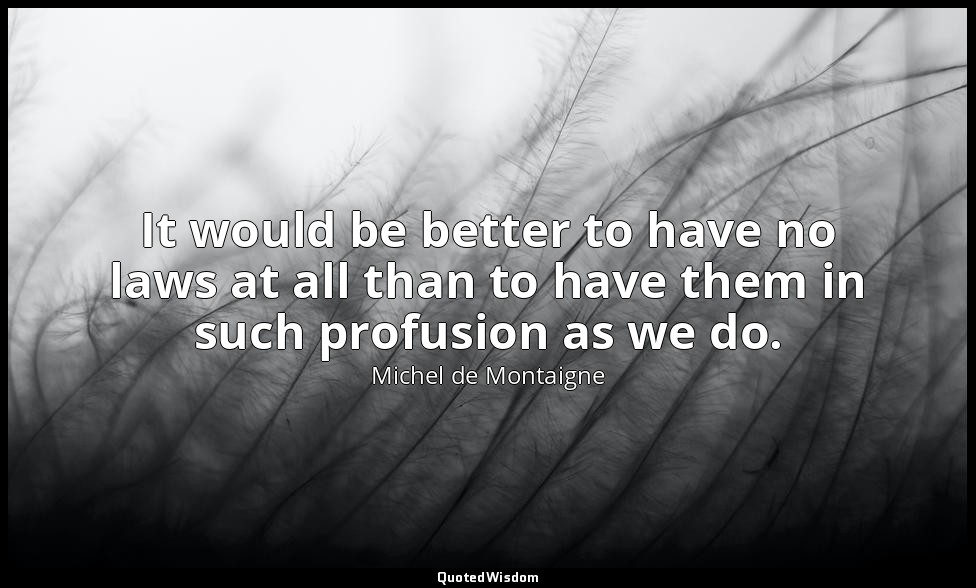 It would be better to have no laws at all than to have them in such profusion as — Michel de Montaigne
