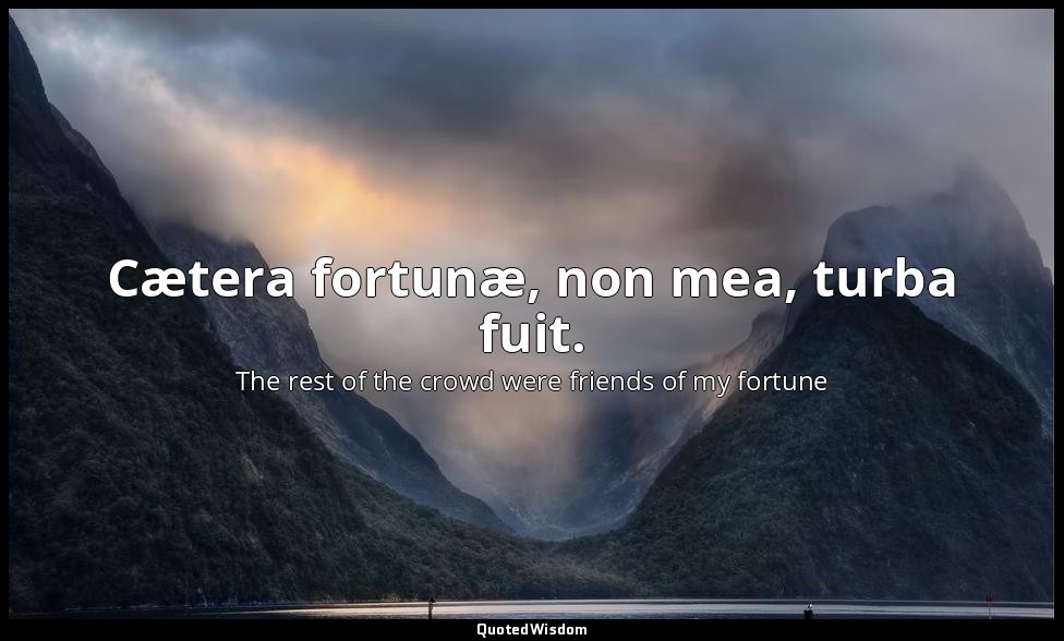 Cætera fortunæ, non mea, turba fuit. — The rest of the crowd were friends of my fortune