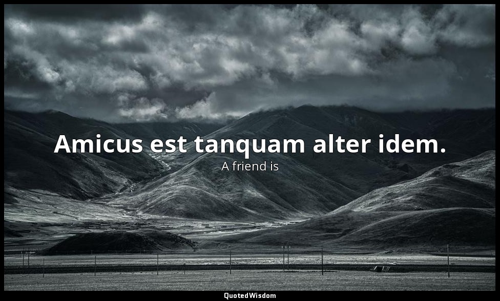 Amicus est tanquam alter idem. — A friend is
