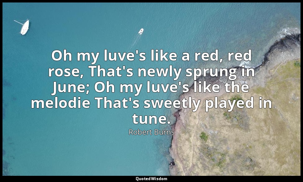 Oh my luve's like a red, red rose, That's newly sprung in June; Oh my luve's lik — Robert Burns