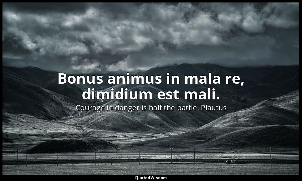 Bonus animus in mala re, dimidium est mali. — Courage in danger is half the battle. Plautus