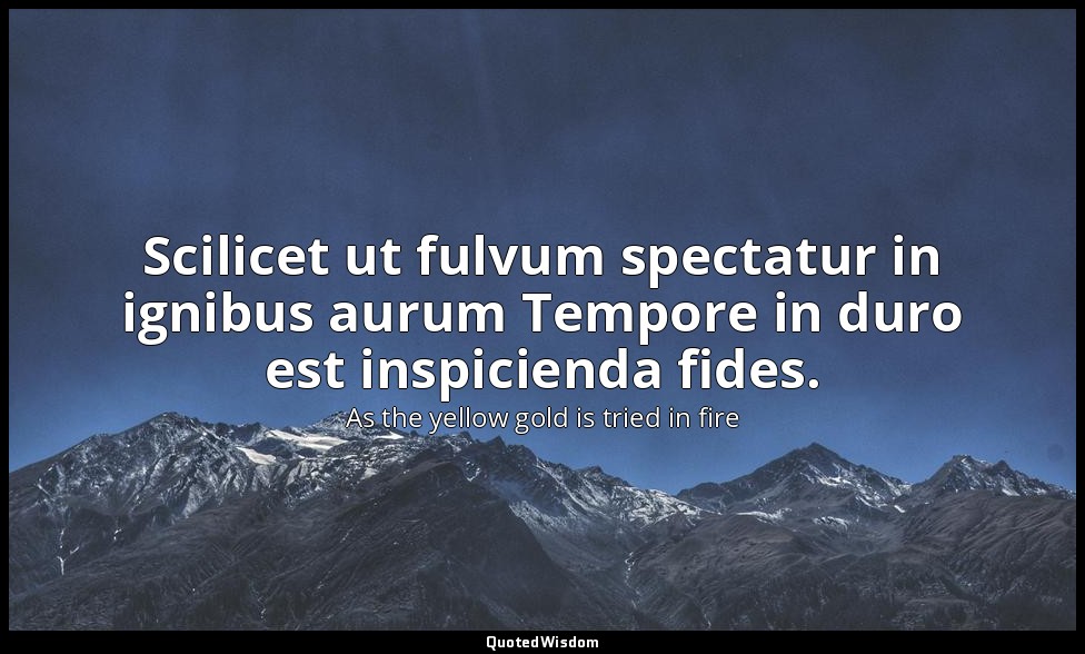 Scilicet ut fulvum spectatur in ignibus aurum Tempore in duro est inspicienda fi — As the yellow gold is tried in fire