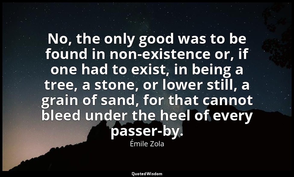 No, the only good was to be found in non-existence or, if one had to exist, in b — Émile Zola