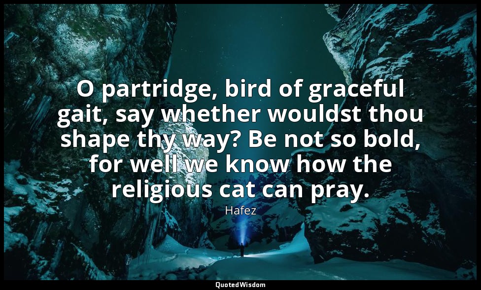O partridge, bird of graceful gait, say whether wouldst thou shape thy way? Be n — Hafez