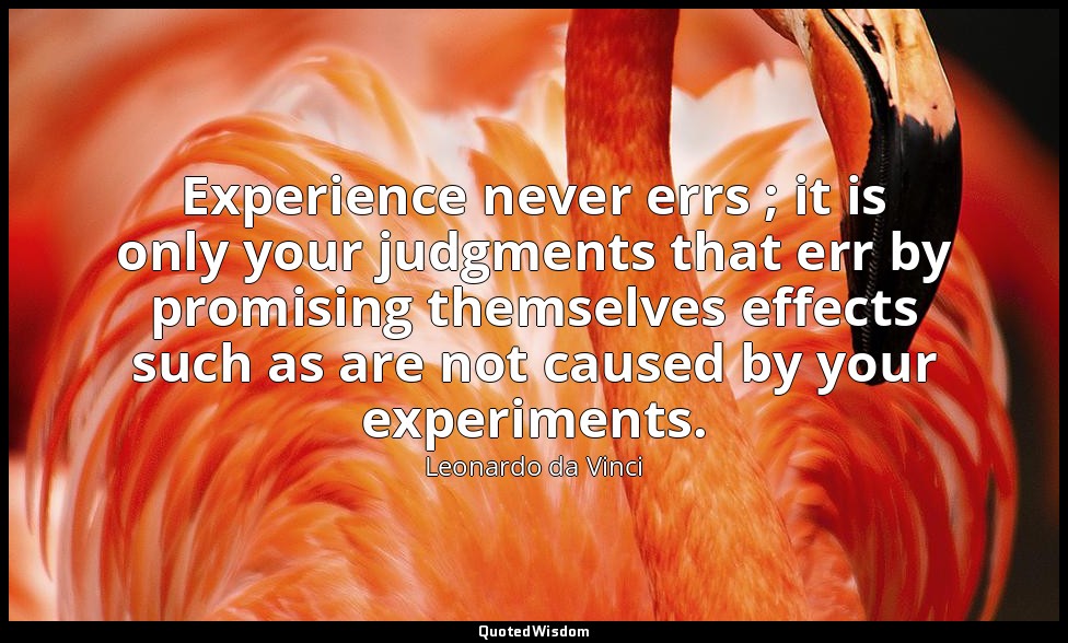 Experience never errs ; it is only your judgments that err by promising themselv — Leonardo da Vinci