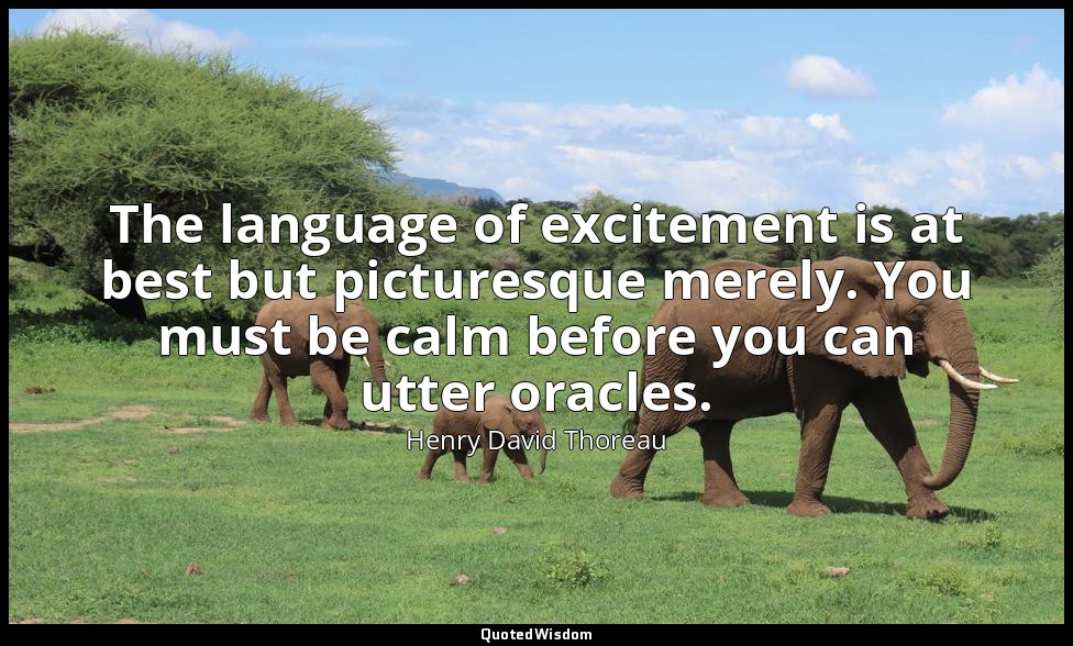 The language of excitement is at best but picturesque merely. You must be calm b — Henry David Thoreau