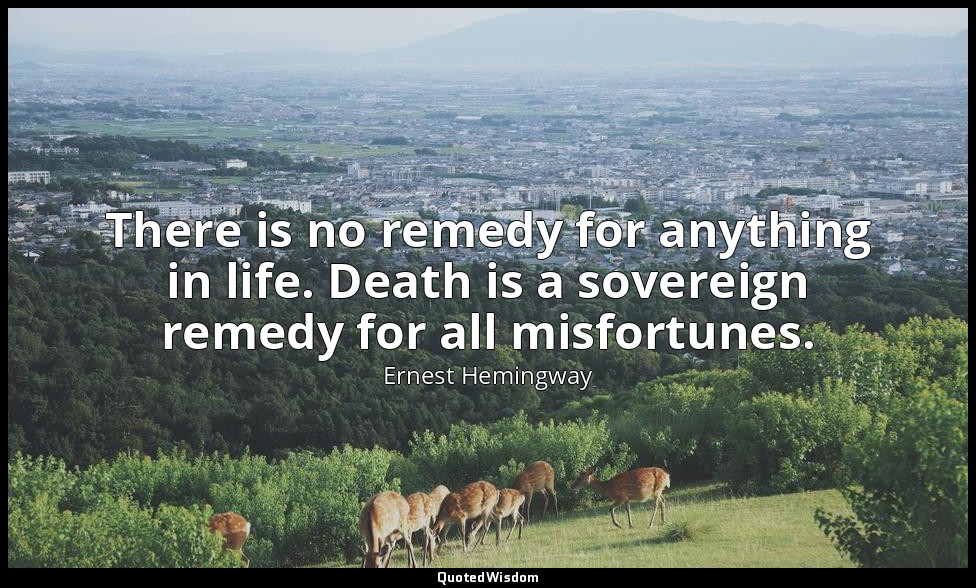 There is no remedy for anything in life. Death is a sovereign remedy for all mis — Ernest Hemingway