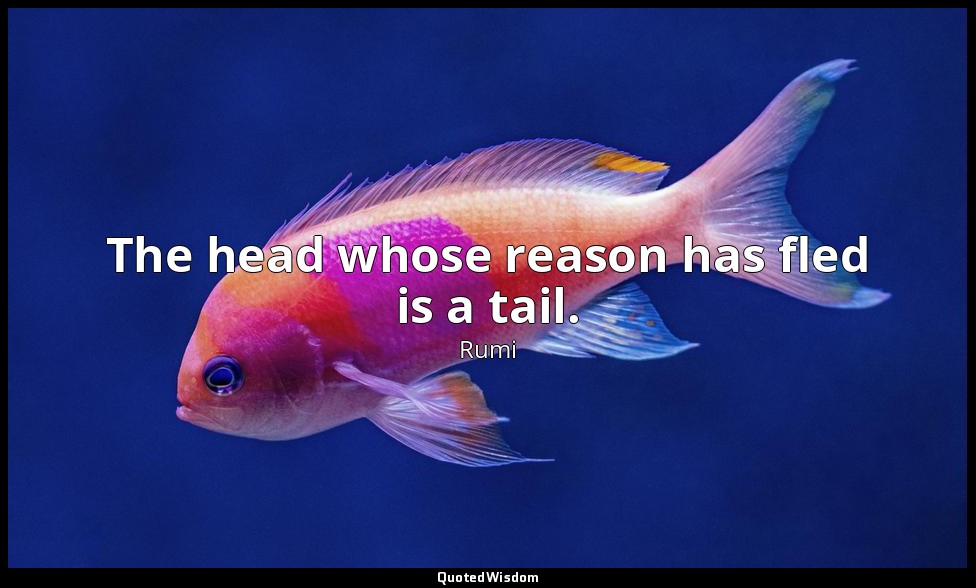 The head whose reason has fled is a tail. — Rumi
