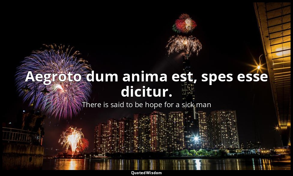 Aegroto dum anima est, spes esse dicitur. — There is said to be hope for a sick man