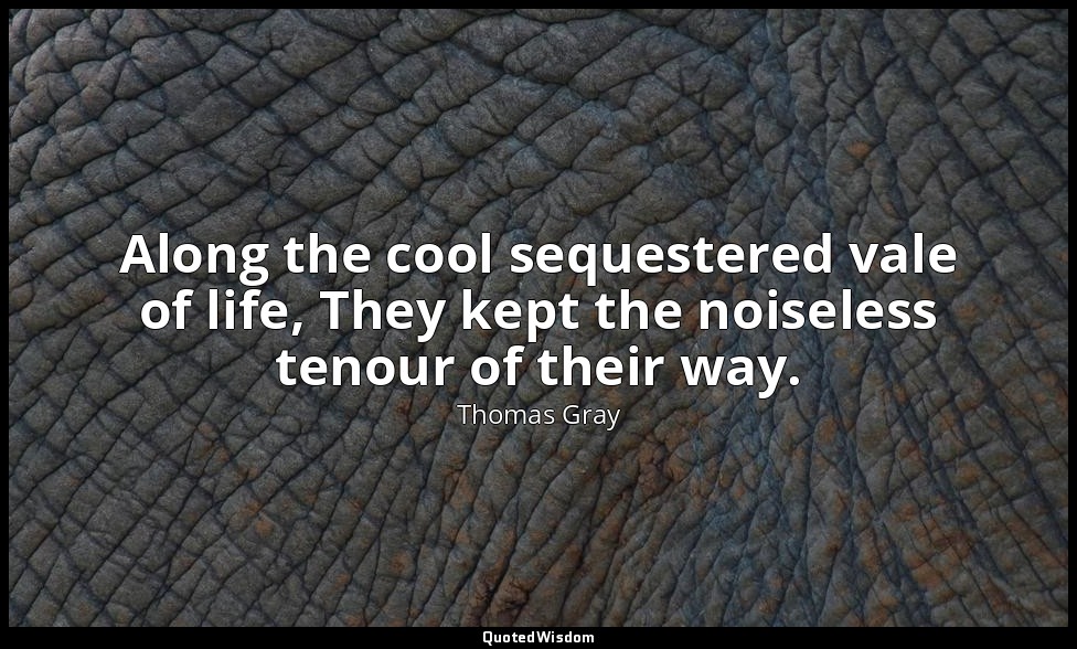 Along the cool sequestered vale of life, They kept the noiseless tenour of their — Thomas Gray