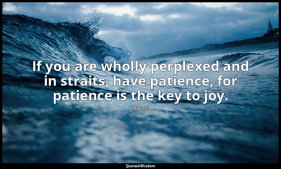 If you are wholly perplexed and in straits, have patience, for patience is the k — Rumi