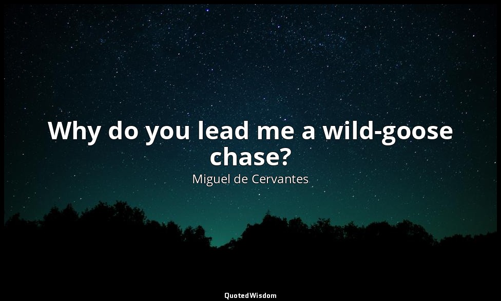 Why do you lead me a wild-goose chase? — Miguel de Cervantes