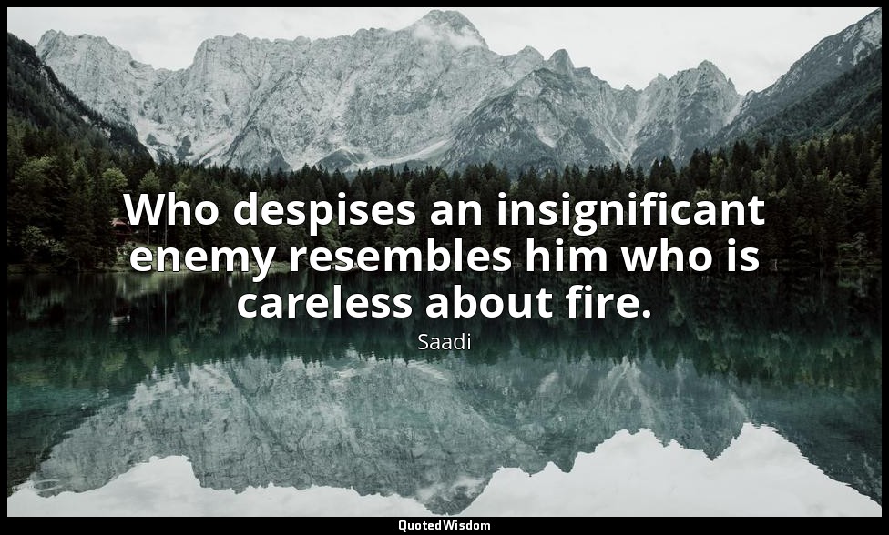 Who despises an insignificant enemy resembles him who is careless about fire. — Saadi