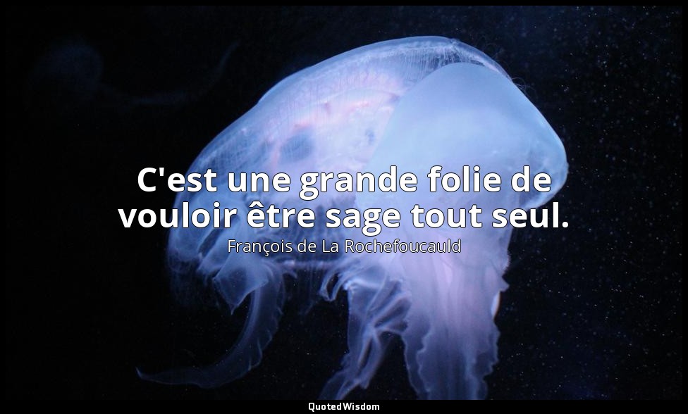C'est une grande folie de vouloir être sage tout seul. — François de La Rochefoucauld