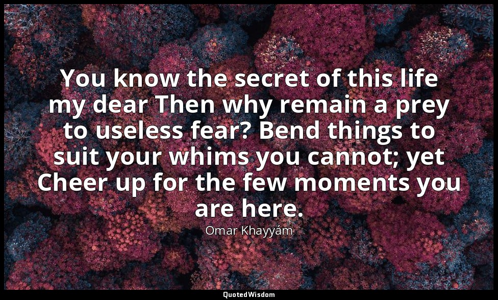 You know the secret of this life my dear Then why remain a prey to useless fear? — Omar Khayyám