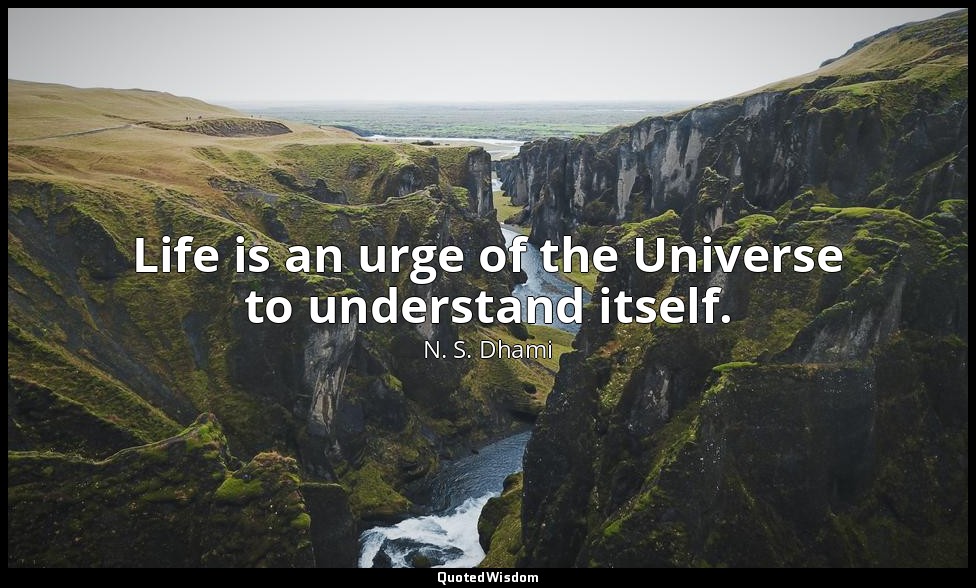 Life is an urge of the Universe to understand itself. — N. S. Dhami