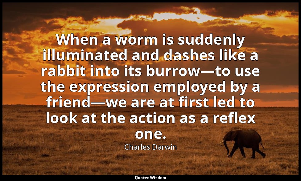 When a worm is suddenly illuminated and dashes like a rabbit into its burrow—to  — Charles Darwin