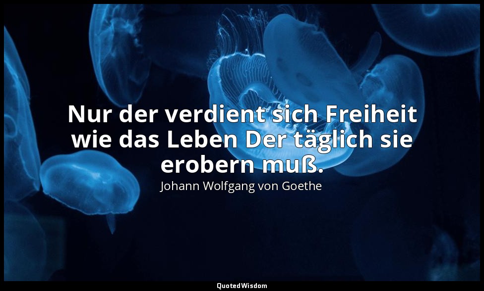 Nur der verdient sich Freiheit wie das Leben Der täglich sie erobern muß. — Johann Wolfgang von Goethe