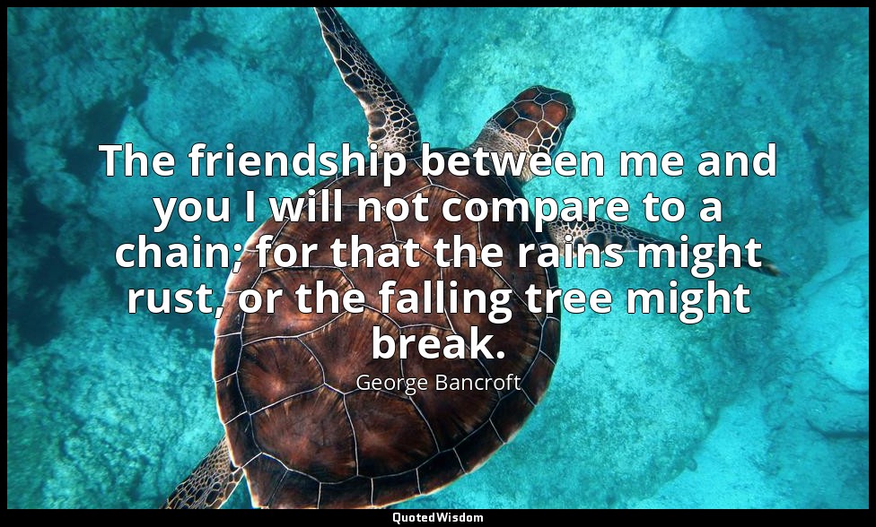 The friendship between me and you I will not compare to a chain; for that the ra — George Bancroft