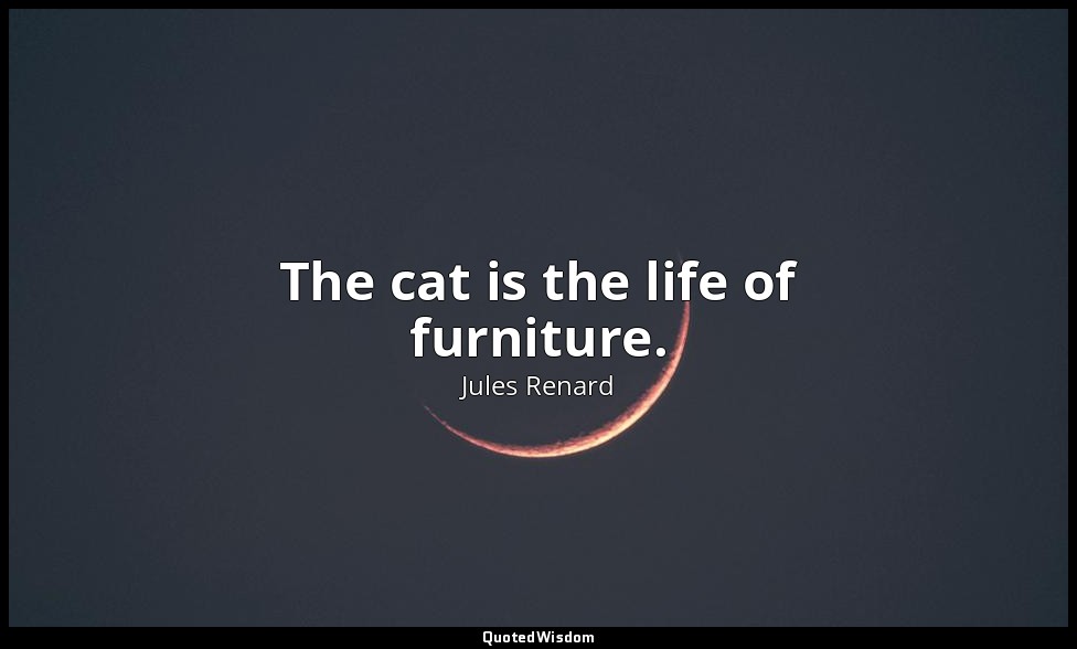 The cat is the life of furniture. — Jules Renard