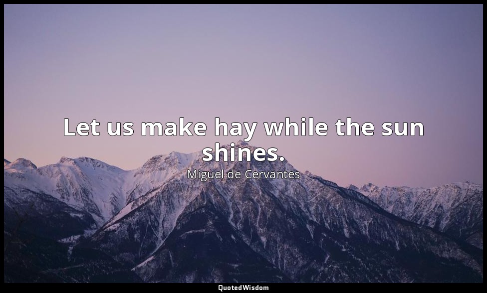 Let us make hay while the sun shines. — Miguel de Cervantes