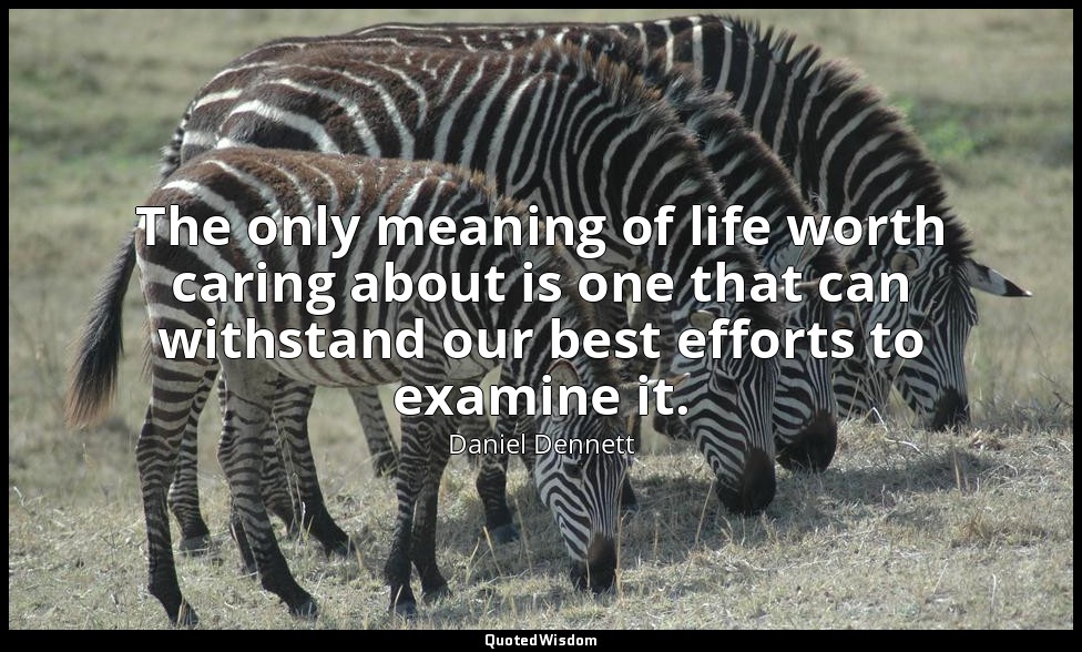 The only meaning of life worth caring about is one that can withstand our best e — Daniel Dennett